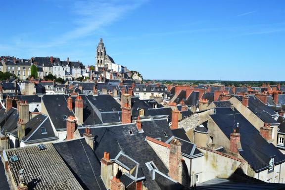 Blois roofs