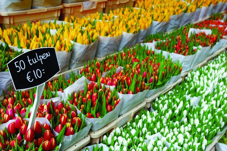 Flower market amsterdam