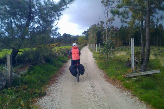 Cyclist in the Camino de Santiago 