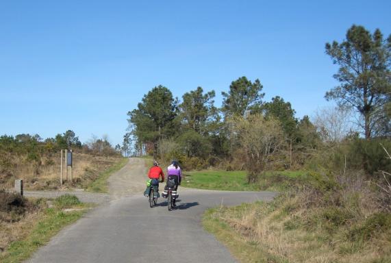 Cyclist in the Camino de Santiago 
