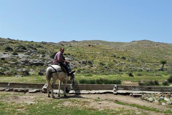 Man riding a horse in Evia