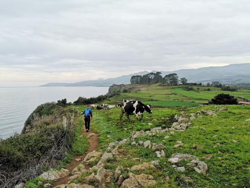 Asturias coastal path