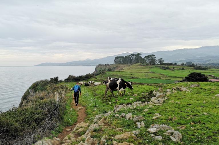 Asturias coastal path