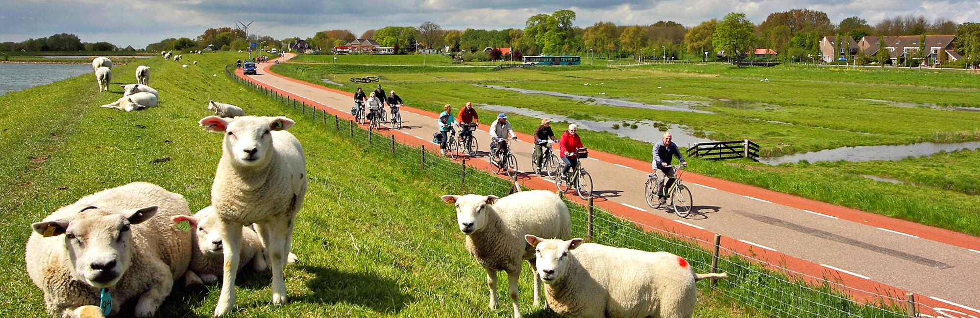 Self-guided trips in The Netherlands