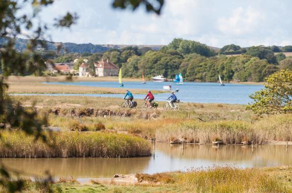Cycling through the marshes (c)visitisleofwight.co.uk