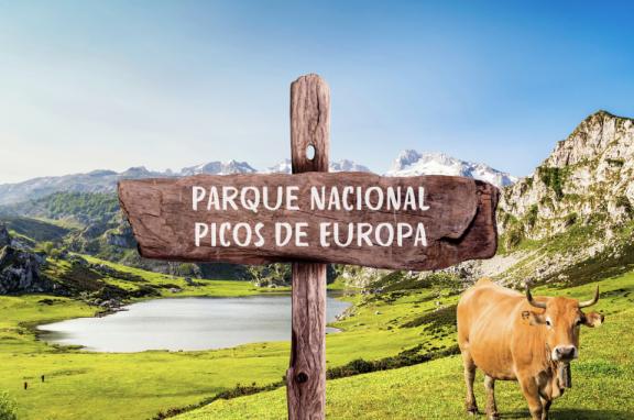 Covadonga lakes with sign