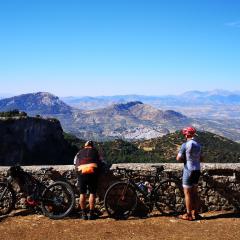 Cyclists in Andalusia