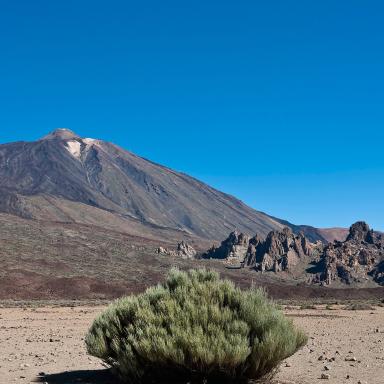 Volcanic landscape Canary Islands
