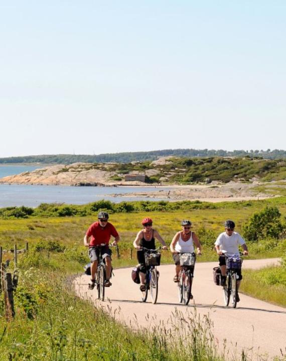 Cyclist group in Sweden