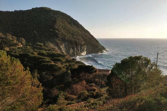 Elba Island landscape