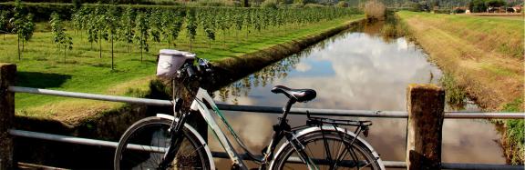 Bicycle parked in an irrigation canal
