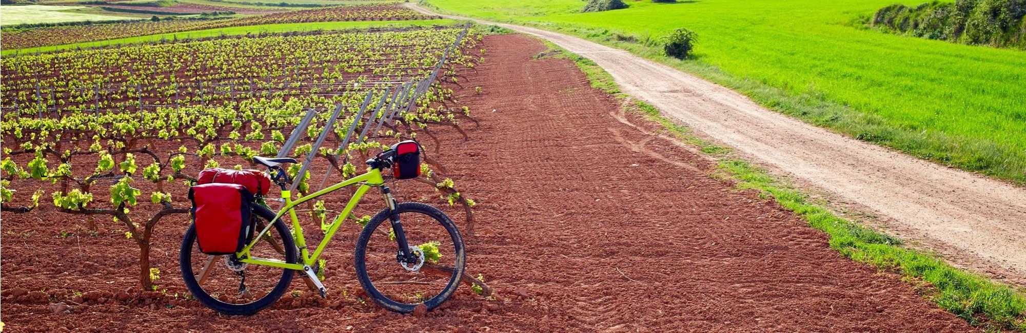 Bicycle among La Rioja vinyards
