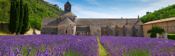 Walking holidays in France-La Provence Vaucluse
