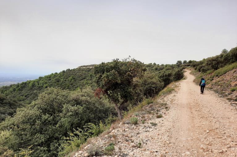 FRSW260 - Walking Vaucluse & Provence