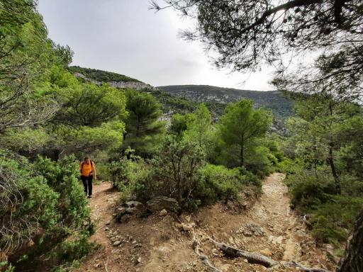 FRSW260 - Walking Vaucluse & Provence