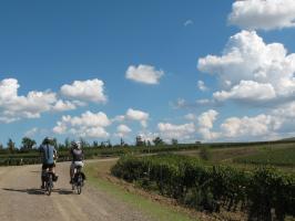 Via Francigena cycling tour