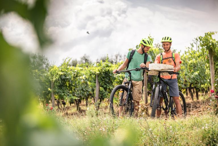 Cyclists in Tuscany