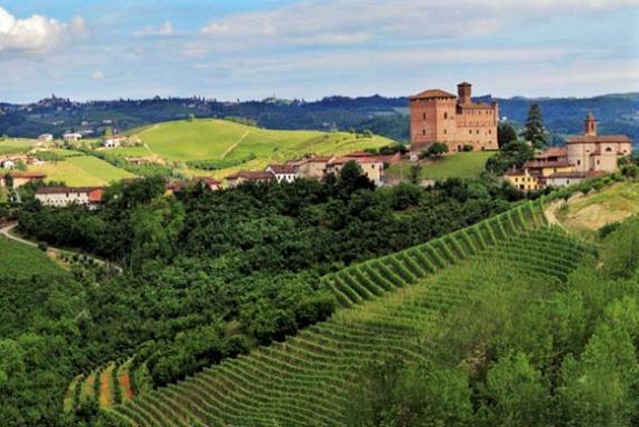 Vineyards Piedmont