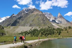 Hikers in Tour du Mont Blanc