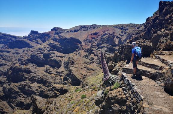 La Palma Taburiente ridge