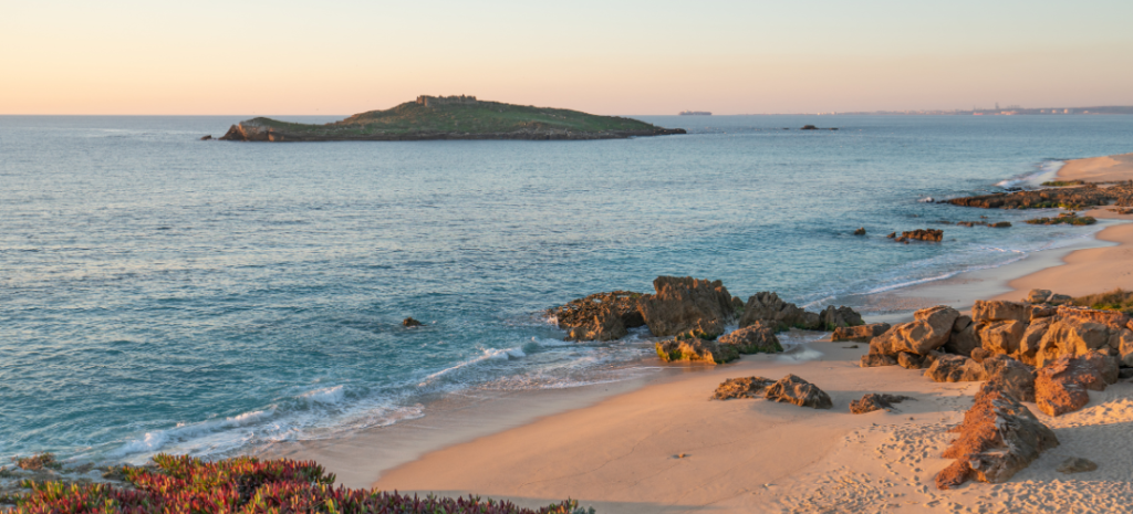 Ilha Pessegueiro