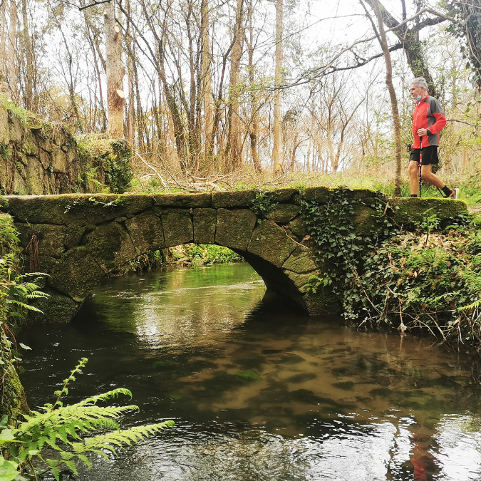 Hiker passing over bridge in the forest