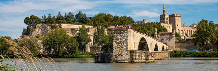 Pont Saint-Bénézet and Palace of the Popes seen from the Rhone