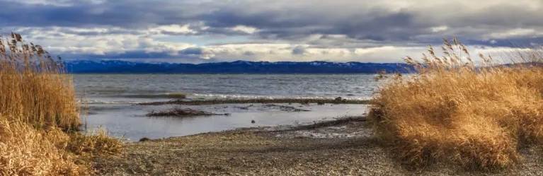 Shores on Lake Constance on a cloudy day