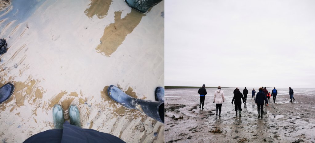 The S-cape team walking to a Wadden island