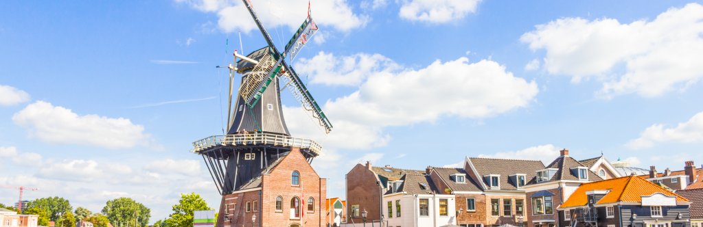 De Adraan windmill in Haarlem