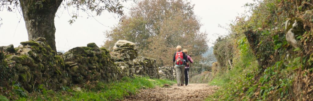 Two pilgrims walking the Camino Frances