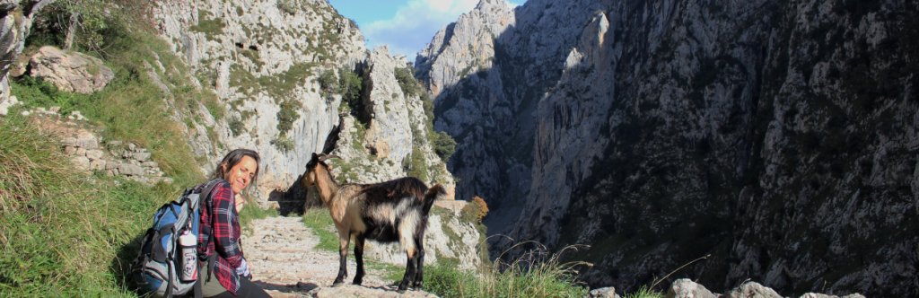 Girl along the Ruta del cares with a goat next to her