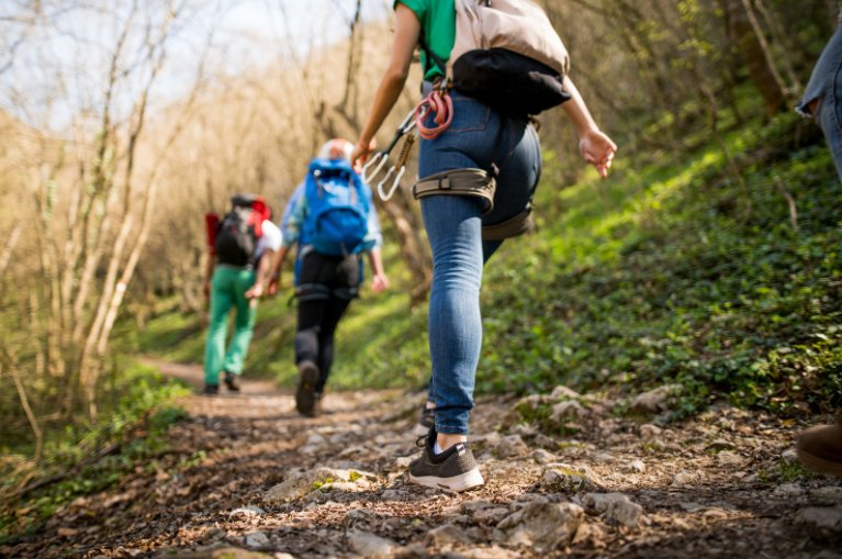 Three hikers through forest