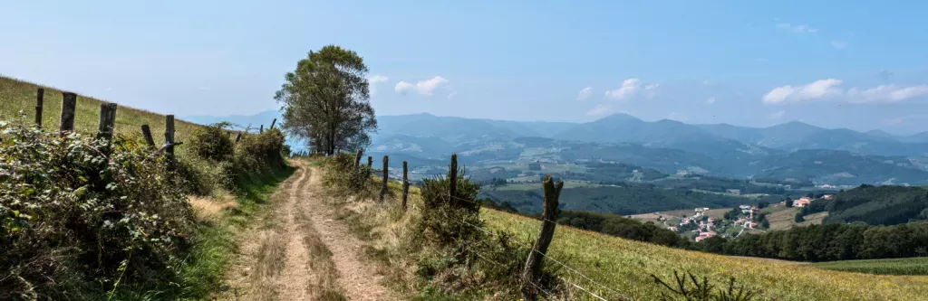 Path through fields on the Camino Primitivo