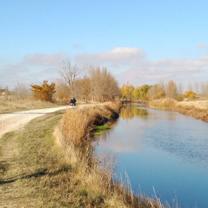 Along a river with dry grass along the Camino Franc&eacute;s