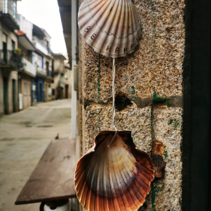 Two shells hanging along the Camino de Santiago
