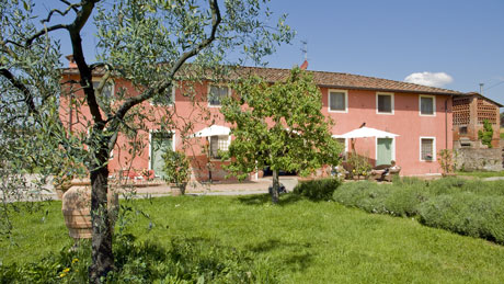  Agriturismo Podere di Rosa - San Alessio