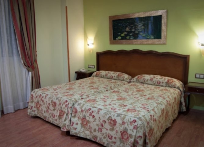 Hotel Reina Cristina - Granada