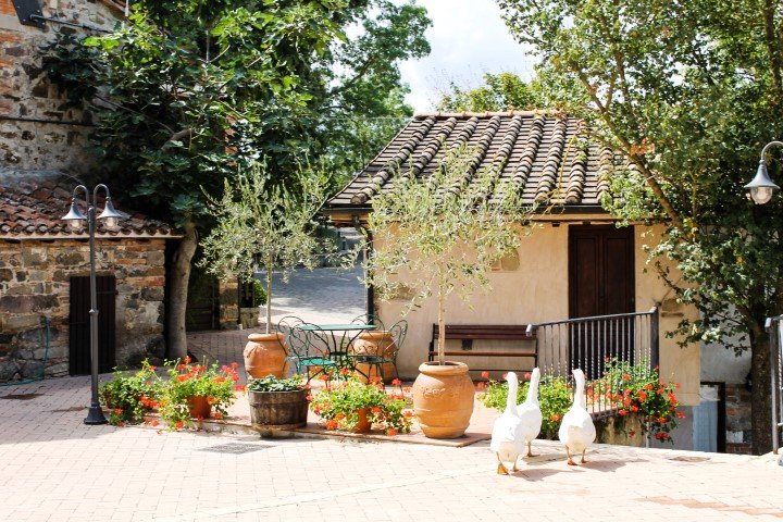 Agriturismo La Selvella (Radicofani)